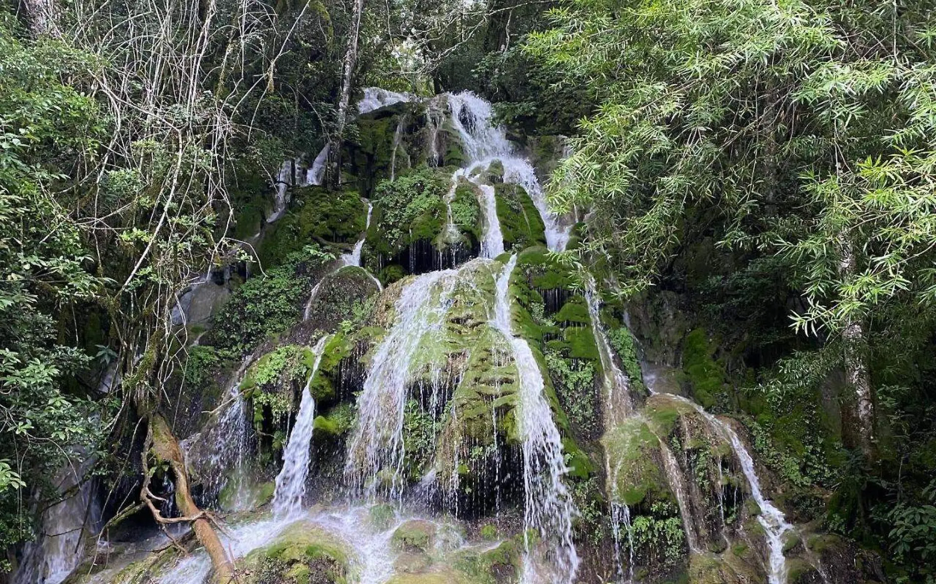 Esta reserva ecológica permite transportarte a otro mundo, uno completamente alejado de la urbanidad en Tamaulipas Facebook @